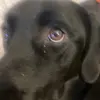 JaceLogan - @jacelogan_ - TikTok