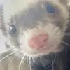 jacemorris919 - @jacemorris919 - TikTok