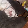 Jace Mortimer - @jace.m2003 - TikTok