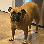 Jace Moss - @jacemoss3 - Instagram
