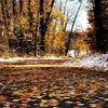 jace.nelson12 - @jace.nelson12 - TikTok