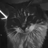 jace olsen - @mybabys10001 - TikTok