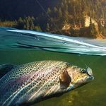 jace olsen - @fishing0921 - Instagram