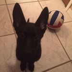 Jace Olson - @jaceolson4 - Instagram