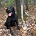 Jace Olson - Facebook