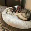 Jase Pack - @jase.pack - TikTok