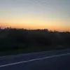 jacereed76 - @jace.reed81 - TikTok