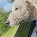 Jace Robinson - Facebook