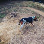 jace robinson - @robinsjace - Instagram