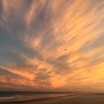 Jace Roman - @spreadjoyandtravel - Instagram