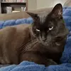 Jacey Summers - @jacey.summers - TikTok