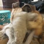 Jace Warren - @jace._.warren - Instagram