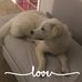 Jace White - Facebook