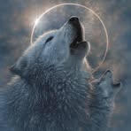 Jace Wolf - Facebook