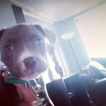 Jace Landon Woods - @jacelandonwoods - Instagram