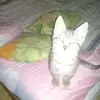 Jacek Bugajak - @jacek.bugajak - TikTok