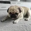 jacekkaczmarczyk7 - @jacekkaczmarczyk7 - TikTok