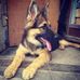 Johnson Jacelyn - Facebook