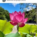 Hazalin Risi - @jaceybell_ - Instagram