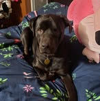Jaci Hubbard - Facebook