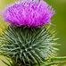 Jacqui Olson - Facebook