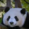 jacie.martinez - @jacie.martinez85 - TikTok