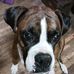 Jacinta Allen - Facebook