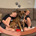 Jacinta Gordon-Allen - @jacshome - Instagram