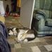 Jacinta Brown - Facebook