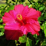 Jacinta James - @jacintajames982 - Instagram