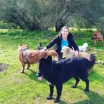 GEMCAN PASEO DE PERRITOS - @jacinta.mariasoto - Instagram