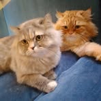Jacinta Muchiri - Facebook