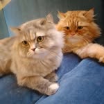Jacinta Muchiri - @muchiri8111 - Instagram