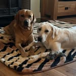 Jacinta Murphy - @cintahmurphy - Instagram