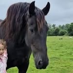 Jacinta Murphy Dolan - @dolanjacintamurphy - Instagram