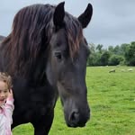 Jacinta Murphy Dolan - @jacintamurphydolan - Instagram