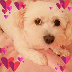 Jacinta Phillips - @jacinta.phillips.568 - Instagram
