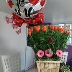 Jas Quintero Olvera - @olverajacintaquintero - Instagram