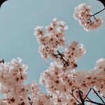 J A C I N T A - @jacintarivera___ - Instagram