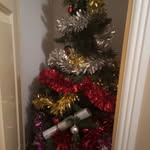 Jacinta Ryan - @jacinta.ryan.31 - Instagram