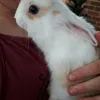 Jacinta Shaw - @jacinta_06 - TikTok