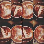 jacinta ward - @got_the_crema - Instagram