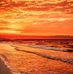 Jacinta Ward - Facebook