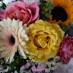 Jacinta Williamson - Facebook