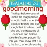 Jacinth Williams - @blesse_one_ - Instagram