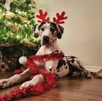 Jacinthe Bilodeau - Facebook