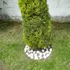 Jacinto Acevedo - @jacinto.acevedo1 - TikTok