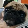 Jacinto Acevedo - @jacinto_acevedo - TikTok