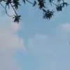 JacintoAcevedo - @xjacintoxx - TikTok