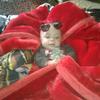 Jacinto Benavides - @jacintobenavides - TikTok